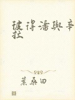 彼得潘与辛德瑞拉