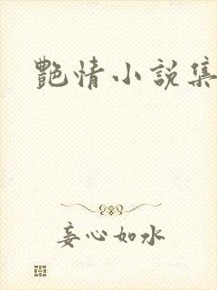 艳情小说集封面