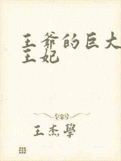 王爷的巨大进入王妃