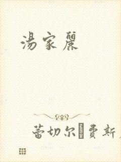 汤家丽封面