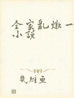 全家乱炖一锅烩小说