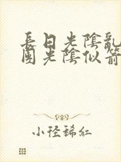 长日光阴乱作一团光阴似箭必读