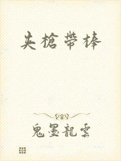 夹枪带棒封面