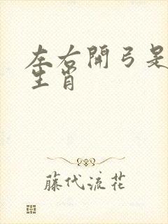 左右开弓是什么生肖