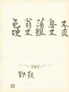 色翁荡息又大又硬又粗又爽封面