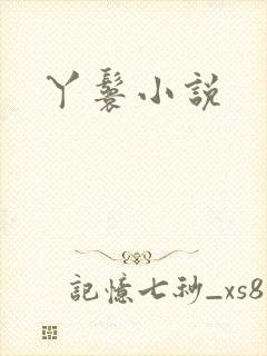 丫鬟小说