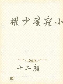 权少蜜宠小娇妻