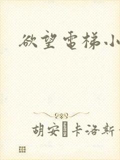欲望电梯小说封面