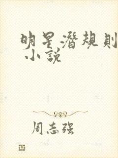 明星潜规则之皇 小说