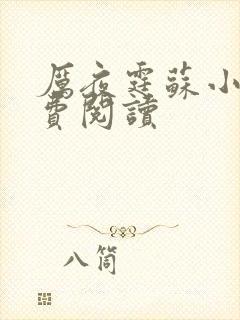 厉夜霆苏小汐免费阅读