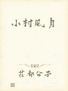 小村风月封面