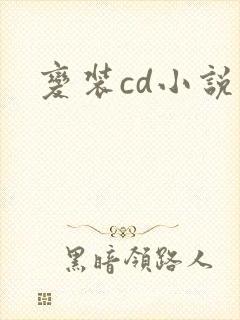 变装cd小说