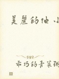 美丽的他 小说封面