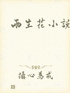 两生花小说封面