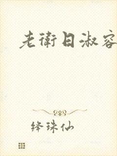 老卫日淑容封面