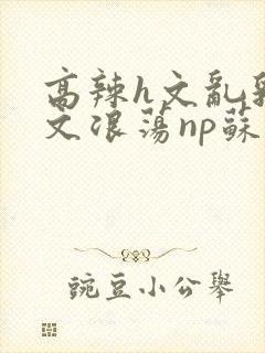 高辣h文乱乳h文浪荡np苏夏
