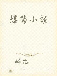 爆菊小说