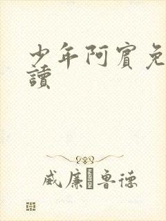 少年阿宾免费阅读