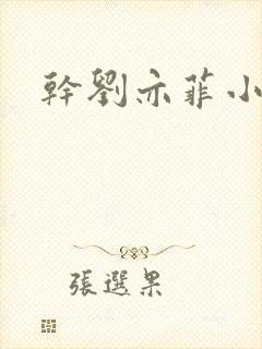 干刘亦菲小说