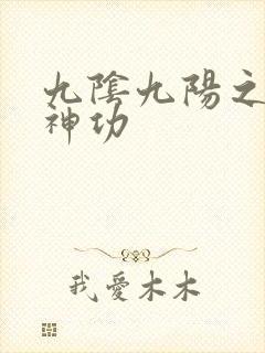 九阴九阳之阴阳神功
