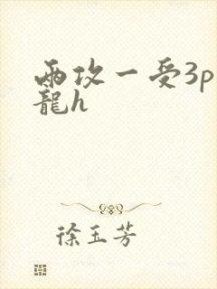 两攻一受3p双龙h