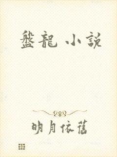 盘龙 小说封面