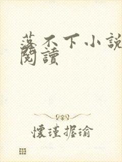 落不下小说免费阅读