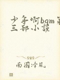 少年啊bgm第三部小说封面