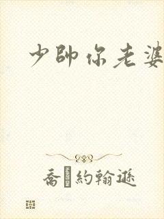 少帅你老婆