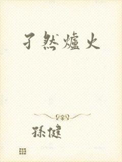 孑然炉火