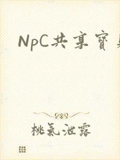 NpC共享宝贝封面