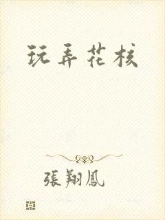 玩弄花核封面