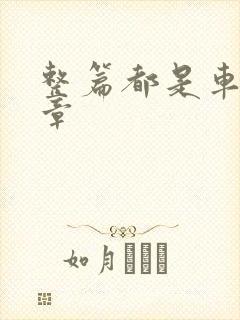 整篇都是车的文章