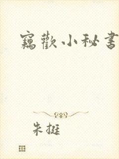 窃欢小秘书封面