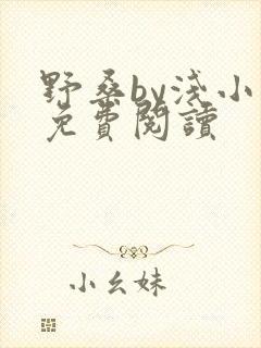 野桑by浅小说免费阅读
