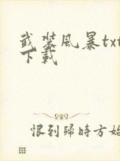 武装风暴txt下载