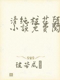 清纯校花堕落记小说免费阅读