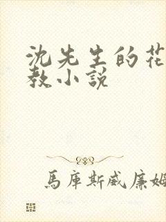 沈先生的花式管教小说