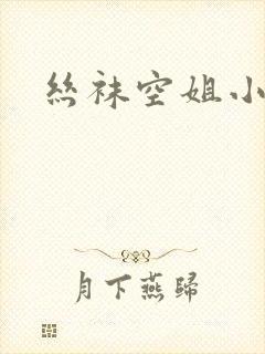 丝袜空姐小说
