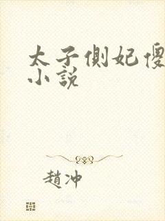 太子侧妃傻乎乎小说
