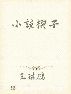 小说楔子