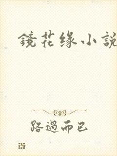 镜花缘小说