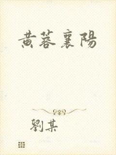 黄蓉襄阳