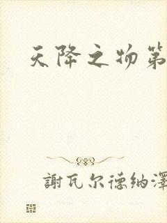 天降之物第一季