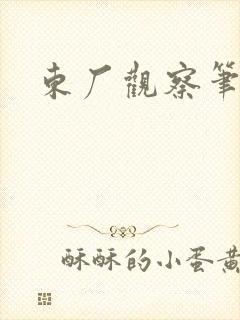 东厂观察笔记