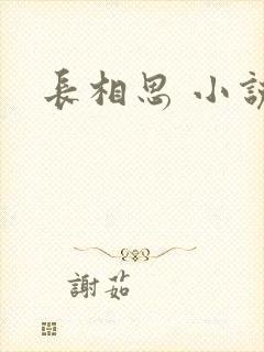 长相思 小说
