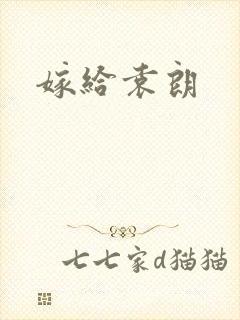 嫁给袁朗