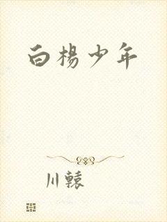 白杨少年