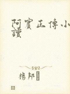 阿宾正传小说在读