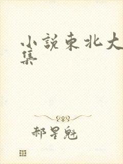 小说东北大炕全集封面